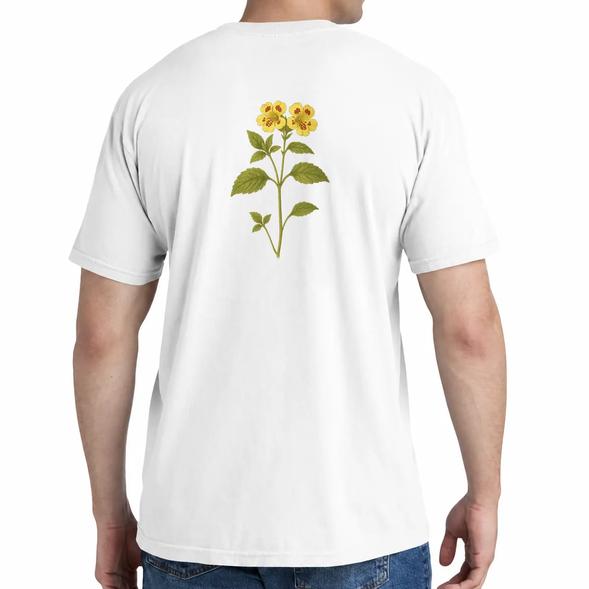 primrose monkeyflower