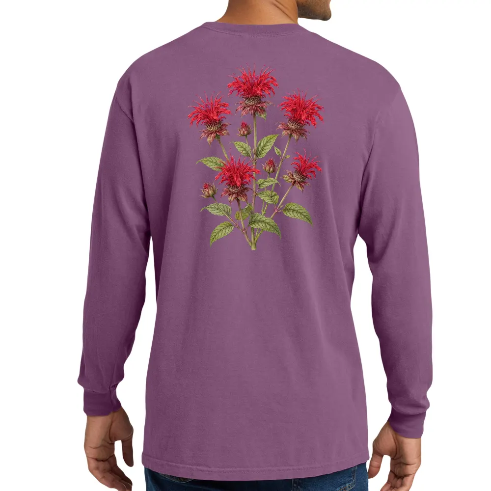 scarlet beebalm