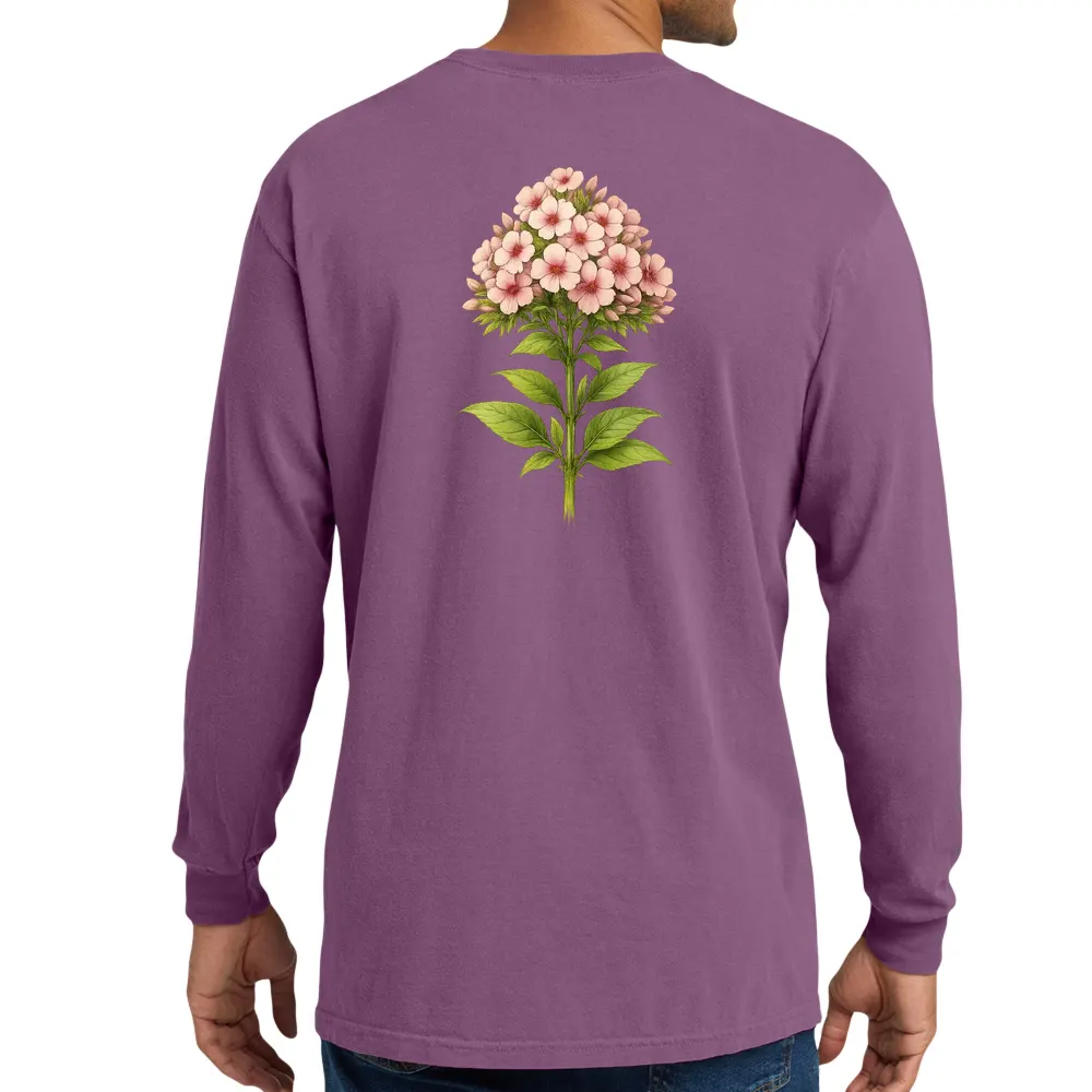 phlox