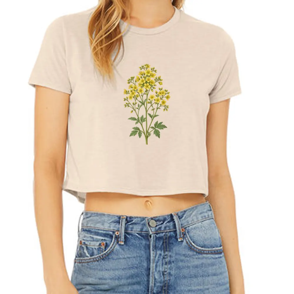 alpine meadow-rue