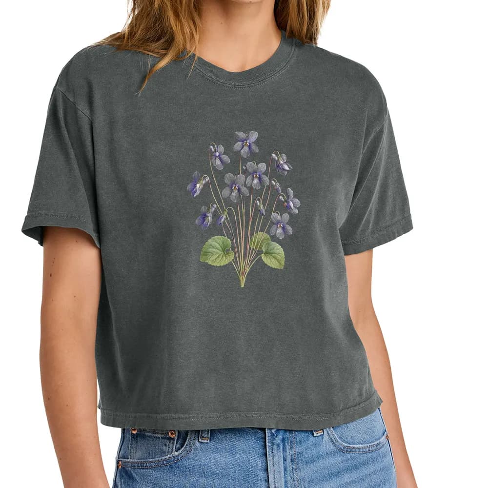hookedspur violet
